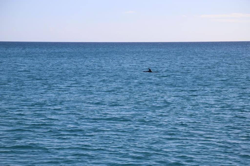 Ocean Flat Apartment Cagliari Ngoại thất bức ảnh